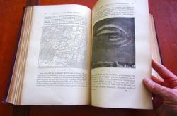 简化教育理念，让教育回归本质