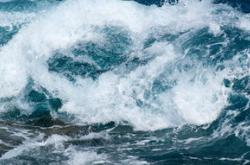 Exploring the Art of Translating Educational Philosophy into English