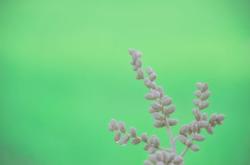 教育成长语录，简短而深刻的智慧