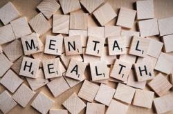心理健康指导师报考指南，最新动态与实用建议